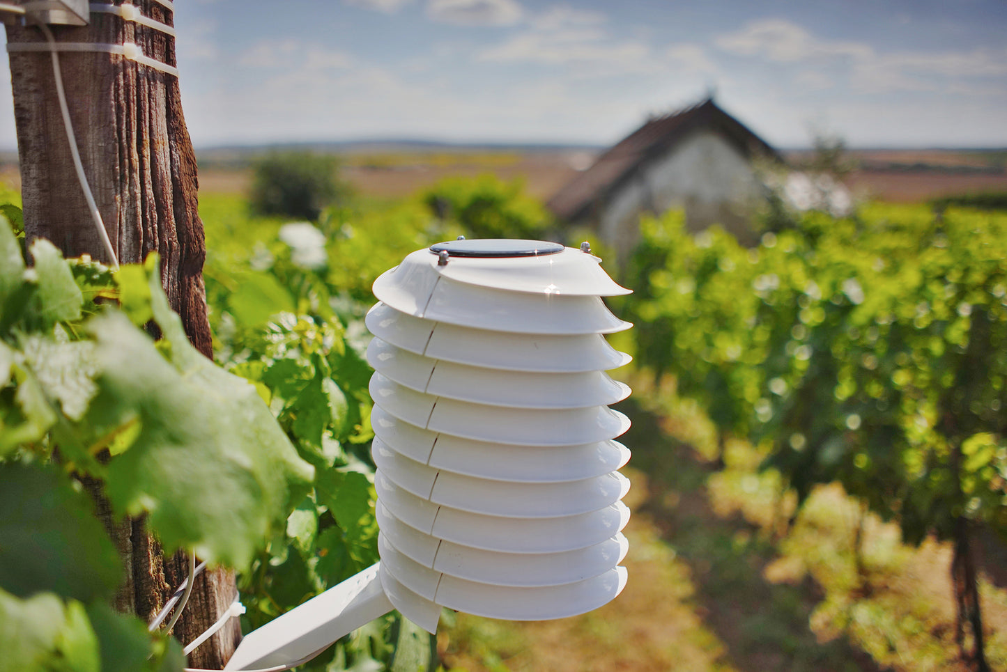 MeteoHelix® IoT Pro - LoRaWAN micro-weather station